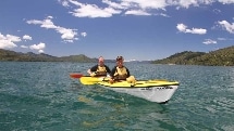 Picton: Full Day Guided Kayak Tour